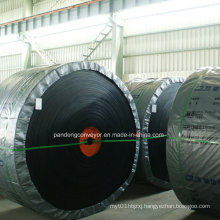 Chemical Resistant Conveyor Belt/Nylon Conveyor Belt